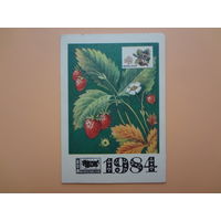 Календарик 1984 г.  ВОФ. Земляника.