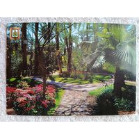 Испания. Эльче. Огород священника. Сады