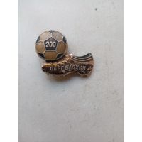 ЗНАК ФУТБОЛ 200. ОЛЕГ БЛОХИН