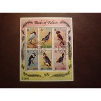 Белиз 1980 г.Птицы Белиза. /п/