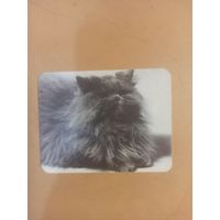 Календарь 1990 кошки/12