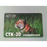 Телефонная карта. Тигр