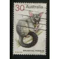 Австралия - 1974 [Mi. 544] Гашеная (AU13)