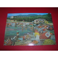 Сочи Детский бассейн 1981 год чистая