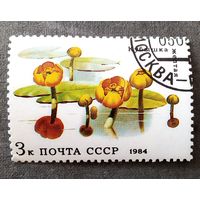 Марка СССР 1984 год Водные растения