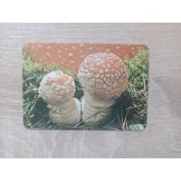 Календарик 1991