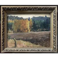 Дучиц Н.В;Земля белорусская;57/68см.с родной рамой;63г;к/м;45/58см