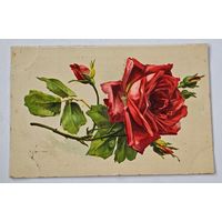 1908 год Либава  Открытка