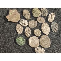 Коллекция чешуи и кусочек сребреника