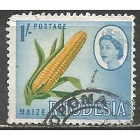 Родезия. Маис. 1966г. Mi#30.