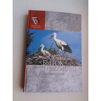 Адсюль выток, адсюль натхненне: Шклоўшчына літаратурная (серыя Беларусь літаратурная)