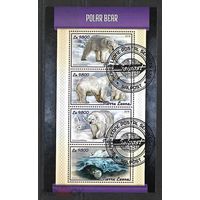 ЛИСТ ФАУНА белые медведи СТО