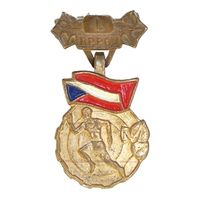 ЧССР. Знак "Будь готов к защите власти" (BPPOV), выпускавшийся в Чехословакии в период с 1950 по 1990 год. 1 степень