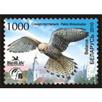Марка "Обыкновенная пустельга"