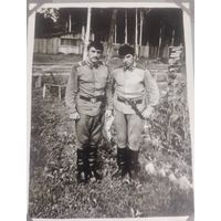 Фото в коллекцию