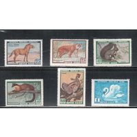 СССР-1959, (Заг.2240-2245) *  , Фауна