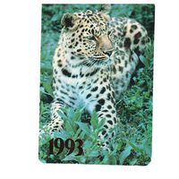 Календарик 1993 Снежный барс Фото Р. Папикьяна