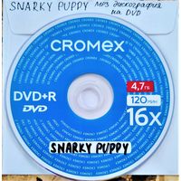 DVD MP3 дискография SNARKY PUPPY (Jazz, Jazz-Funk, Fusion) - 1 DVD