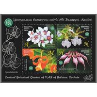 Центральный ботанический сад Беларуси. Орхидеи, 2016, малый лист