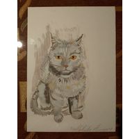 Картина Кот