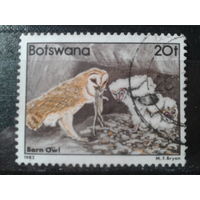 Ботсвана,1982. Сипуха, Mi-6,0 евро гаш.