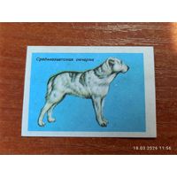 Спичечная этикетка Среднеазиатская овчарка