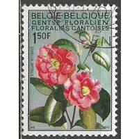 Бельгия. Выставка цветов. Камелия. 1970г. Mi#1580.
