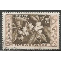 Французский Мадагаскар. Кофе арабика. 1957г. Mi#436.