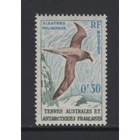 ТААФ Французские Антарктические Территории 1959** Морская птица Дымчатый альбатрос Mi#14