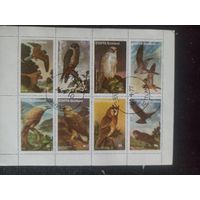 Стаффа. Фауна. Совы. Малый лист