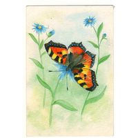 Посткроссинг. Открытка бабочка "Крапивница", худ.Ольга Валеева (10х15). Прошла почту. Художественные марки, чёткий штемпель.