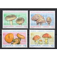 Испания 1993. Грибы 4 марки 3102-05