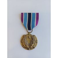 Медаль За гуманитарную службу.