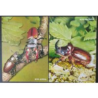 Беларусь 2001 КМ жуки .