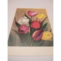 Открытка 1976г. Подписана. Цветы.