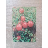 Календарик 1991