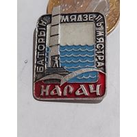 Значок " Нарач "