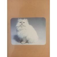 Календарь 1990 кошки/14