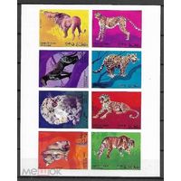 Оман 1969 г.** - Фауна - Дикие кошки MNH