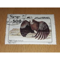 Израиль 1985 Фауна. Библейские птицы. Белоголовый сип