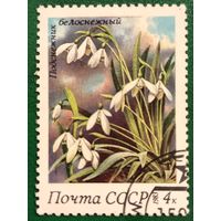 СССР 1983. Подснежники белоснежный. Марка из серии