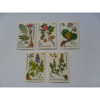 СССР 1985г, растения