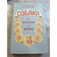Собака на службе и дома.