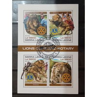 ЛИСТ ФАУНА ТИГРЫ ХИЩНИКИ   СТО