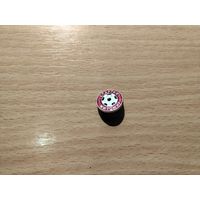 Футбольный клуб Спартак Житомир