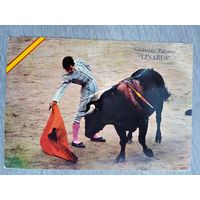 Барселона, коррида