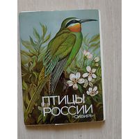 Птицы России Сибирь Выпуск 5 худ Егоров тексты 1988 Набор  16 откр.