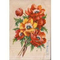 Подписанная открытка 1960-ые гг. БССР "Маки" худ. В. Зеленов (черн.)