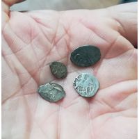 Чешуйки копейки 4 шт одним лотом