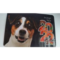 Календарик 2022 год. Собакевич.